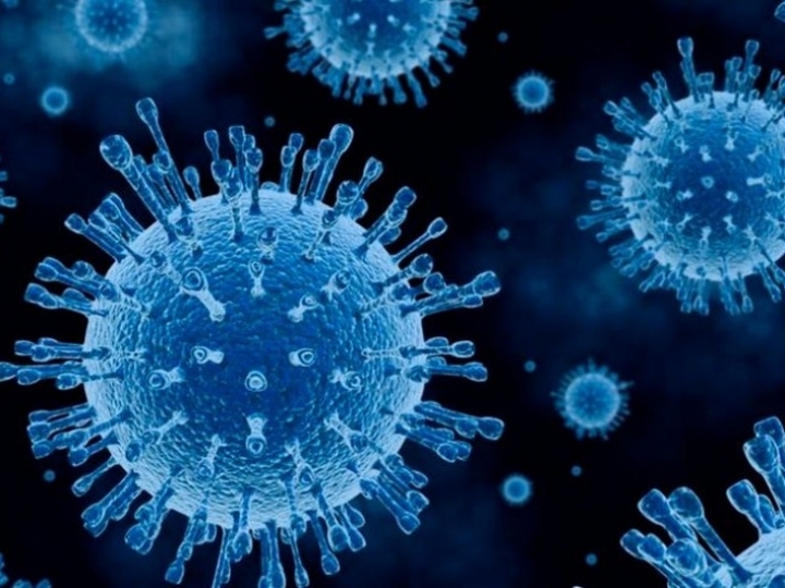 Suposta detecção de coronavírus em asa de frango exportada do Brasil para a China