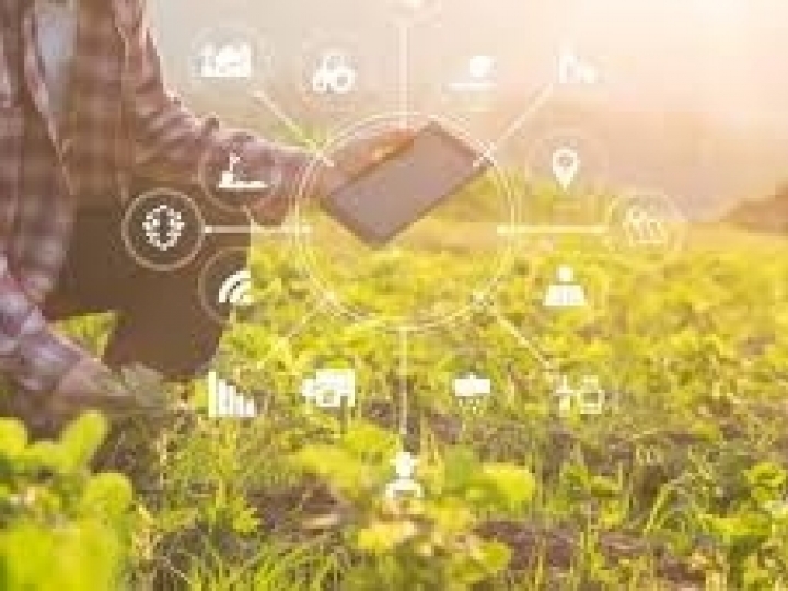 Agricultura digital brasileira: avanço e desafios