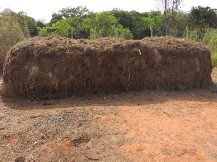 Tereos implanta sistema de compostagem em suas sete unidades e reduz 40% do descarte de resíduos