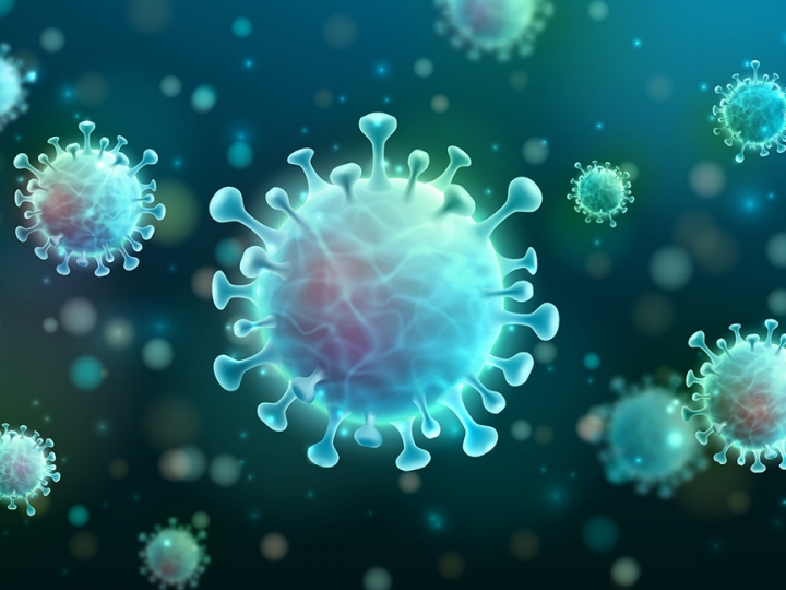 Películas à base de detergente inativam vírus similar ao da Covid-19 em minutos