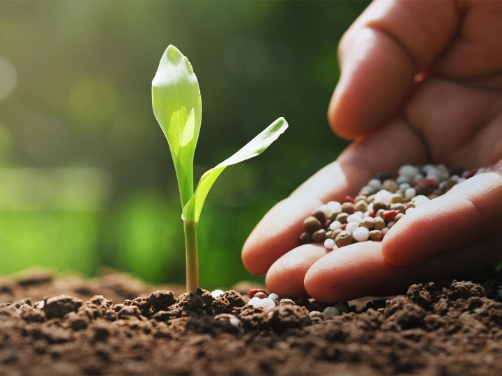 Mercado de fertilizantes especiais apresenta expansão de 7,7% em 2019
