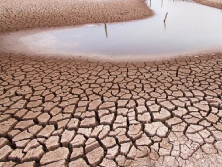 Brasil apresenta experiências de produção em regiões secas para especialistas do G20