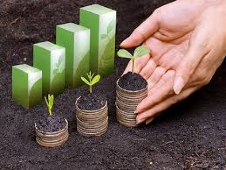 PIB do agro é destaque no 2º trimestre de 2020