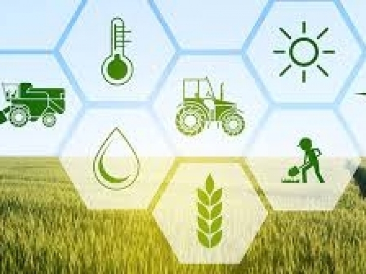 Agricultura de precisão: Até 2025 setor terá receita de US$ 12,8 bi