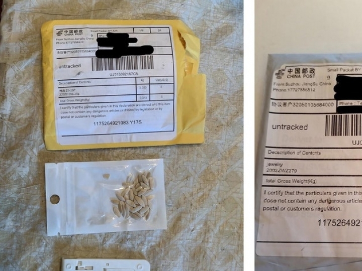 Mapa reforça o alerta sobre recebimento de pacotes de sementes não solicitadas