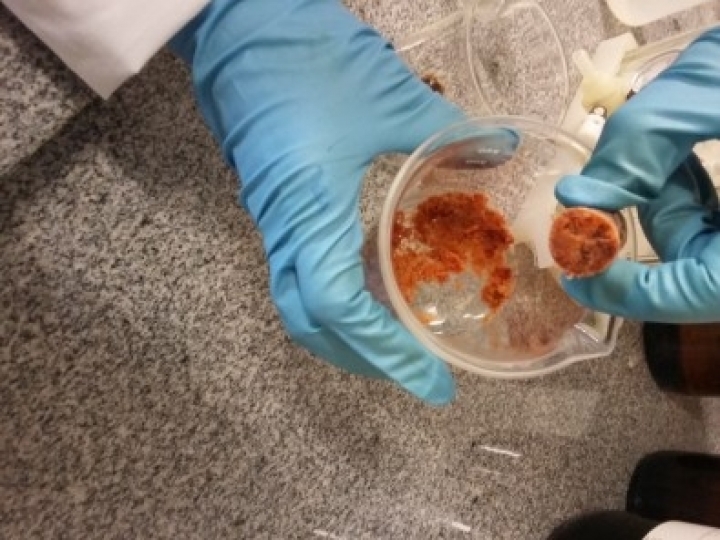 Substâncias com ação anticancerígena são identificadas na própolis vermelha