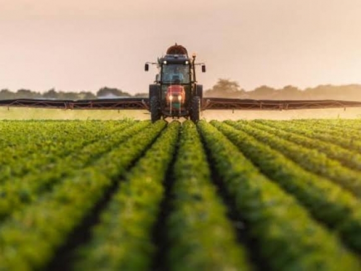 COM SAFRA RECORDE E EXPORTAÇÕES, VBP DEVE SUBIR 15% EM 2020