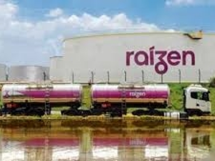 Raízen e alemã RWE estudam novo combustível para produção de energia elétrica a partir do bagaço de cana-de-açúcar