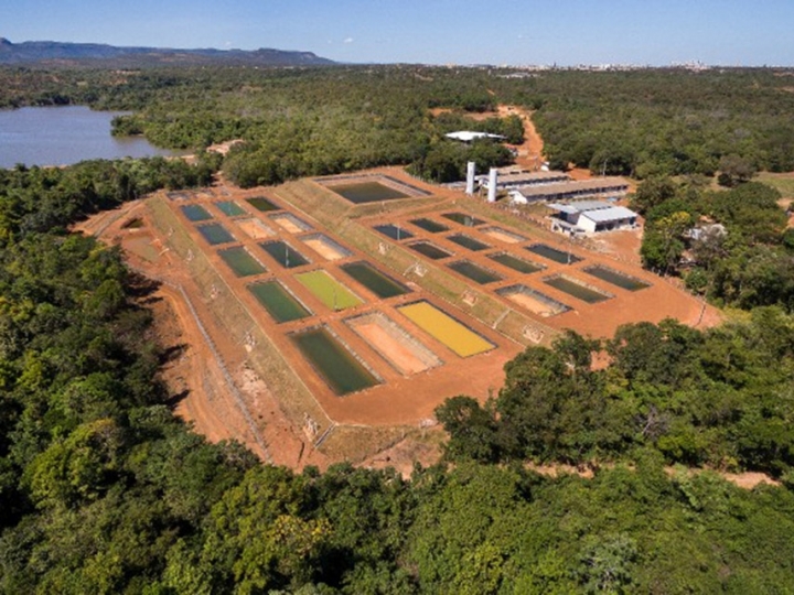 TO tem primeiro banco ativo de germoplasma de peixes nativos