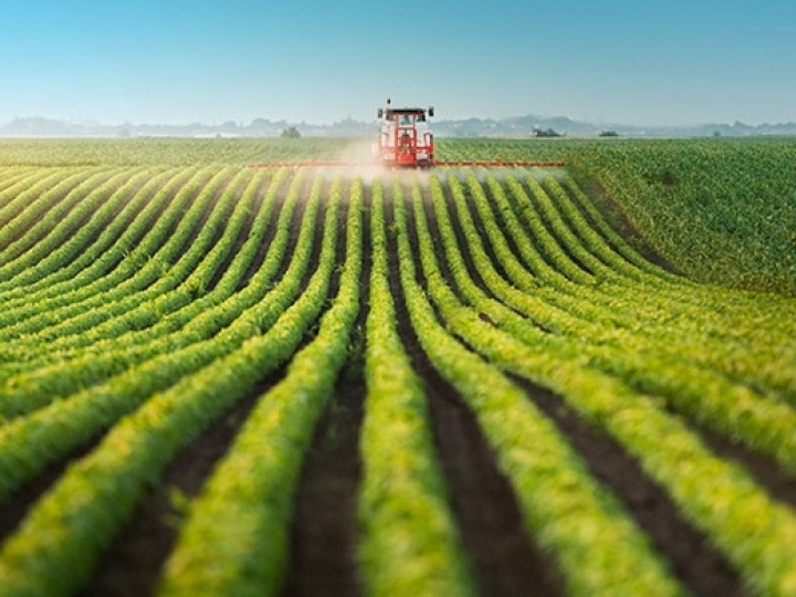 Agro lidera geração de empregos em 2020