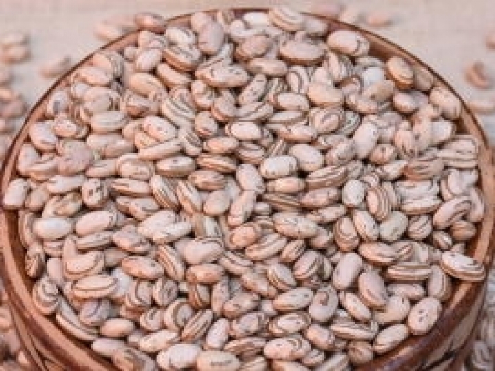 Nova cultivar de feijão carioca de alta produtividade na safra e safrinha