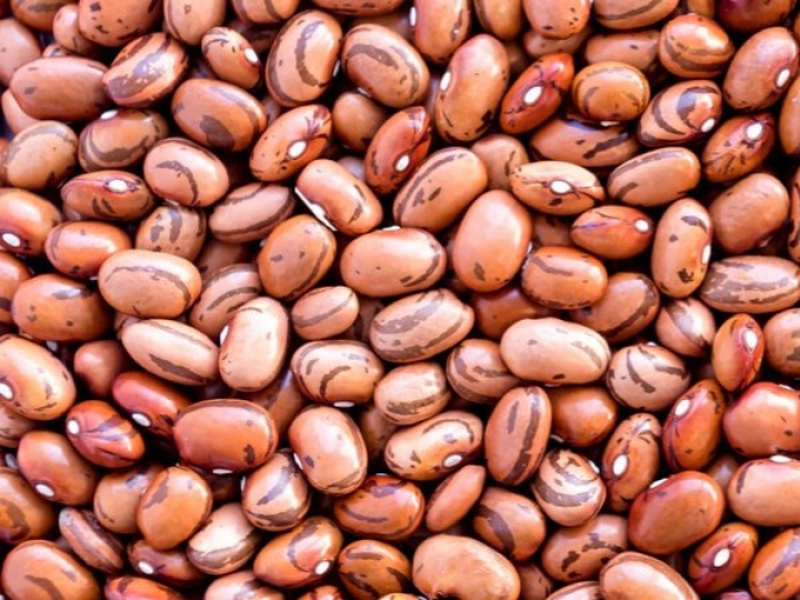 Sementes de feijão para cultivo da safra 2021