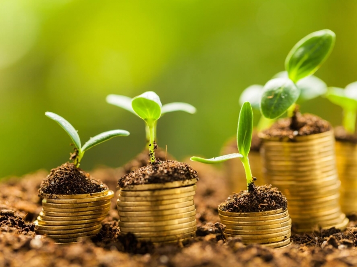 Crédito Rural tem aumento de 21% nos primeiros meses de 2020