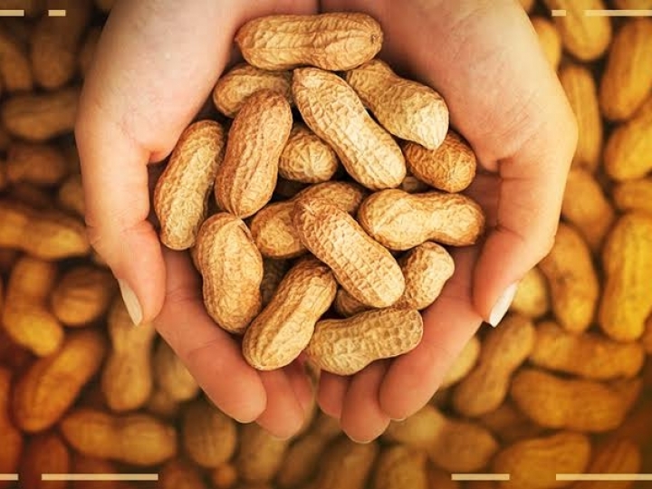 Setor de amendoim in natura tem balança comercial positiva 