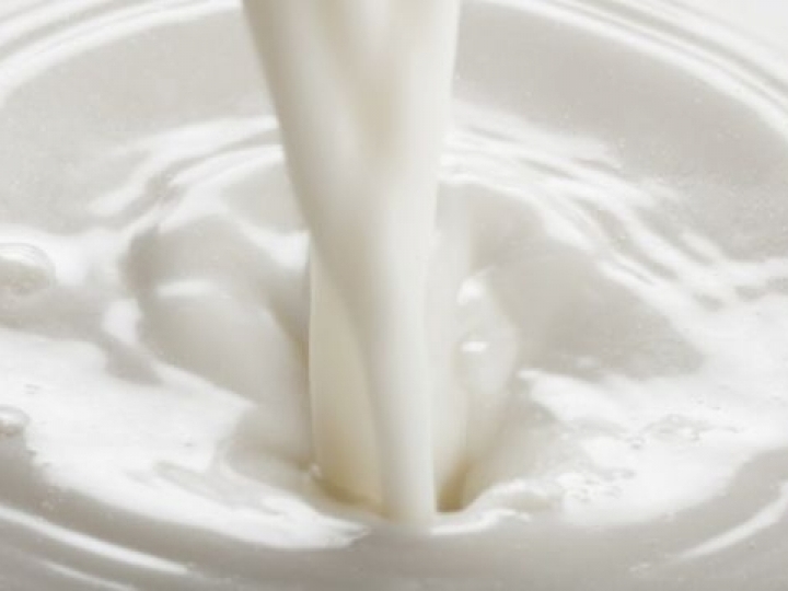 Planejamento forrageiro incrementa em 40% a produção de leite no RS