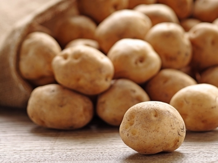 Preparo do solo e equilíbrio de nutrientes garantem produtividade na cultura de batatas