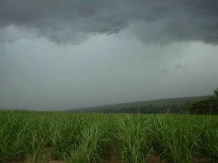 Atraso nas chuvas refletirá nos canaviais