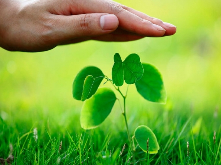 Projeto-piloto para estimular a contratação de seguro rural teve adesão de quase 10 mil produtores do Pronaf