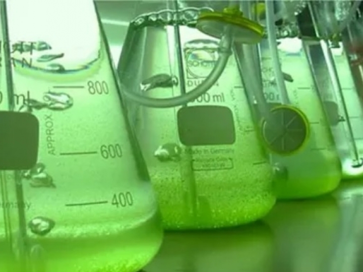 Brasil aplica tarifa de 20% às importações de etanol dos EUA