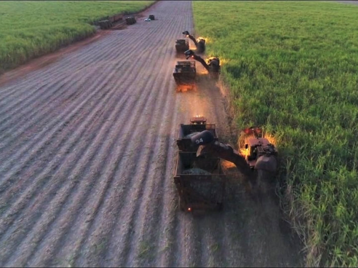ACP Bioenergia supera 2,5 mi de toneladas na safra