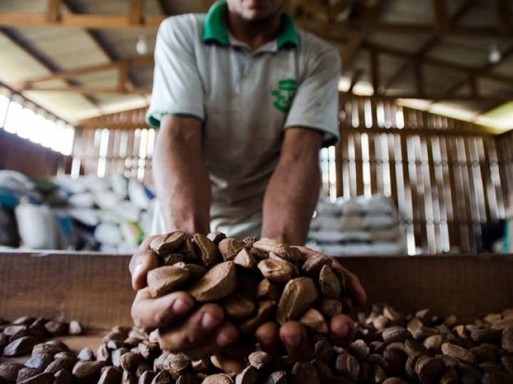 Amazônia e Cerrado receberão R$ 2 milhões para projetos da bioeconomia