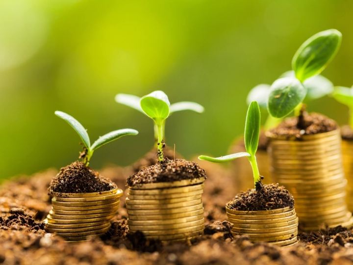 Alta demanda por crédito rural demonstra otimismo do agronegócio