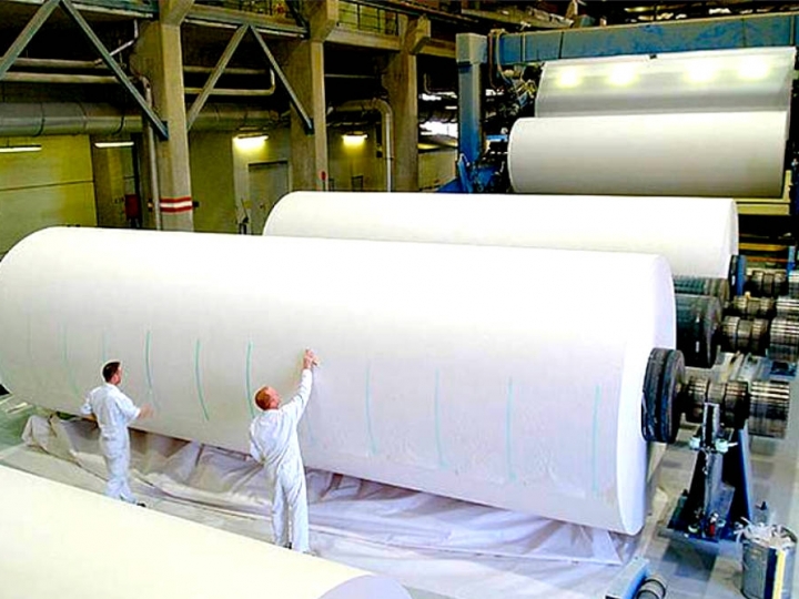 Crescem exportações de açúcar, milho, café e celulose 