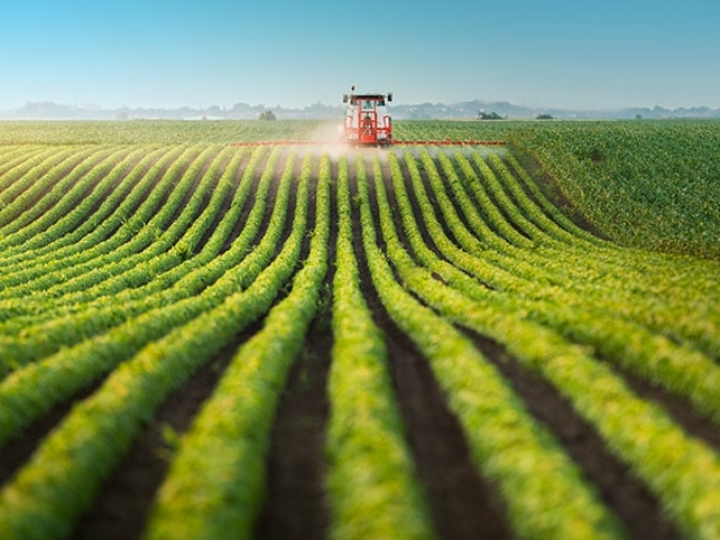 Pesquisa da ABAG mostra a percepção atual da inovação e competitividade no agronegócio