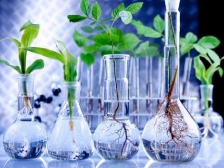 Embrapa apresenta biotecnologias visando parceria com empresas do setor agroindustrial