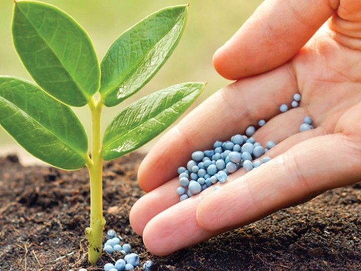 Grupo Interministerial irá elaborar Plano Nacional de Fertilizantes