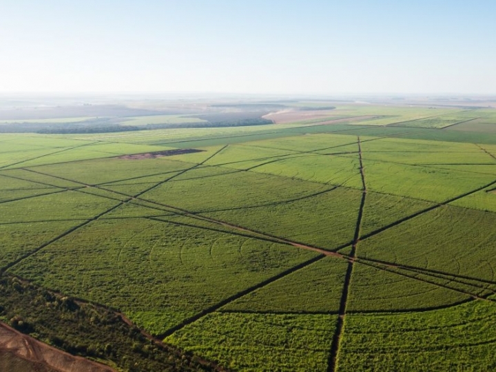 Drones pulverizadores revolucionam agricultura ao reduzir custos na aplicação de insumos em até 50%