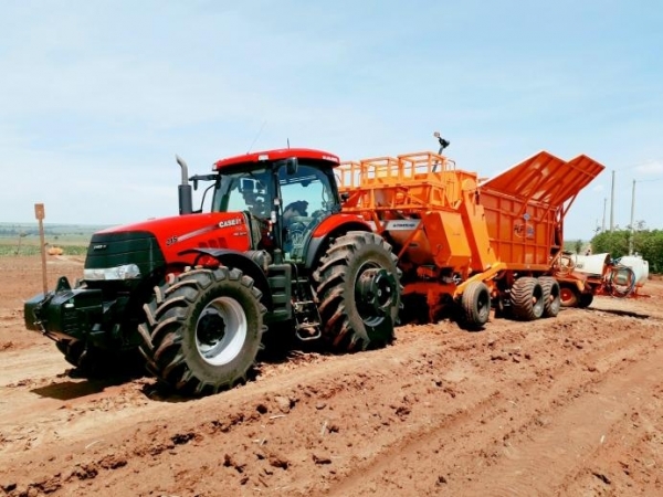  Plantadora de Cana Picada PCP 6000. Foto: Divulgação