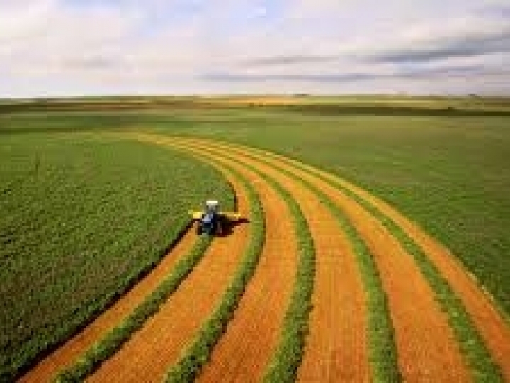 PIB do agronegócio cresce 19,66% de janeiro a novembro de 2020