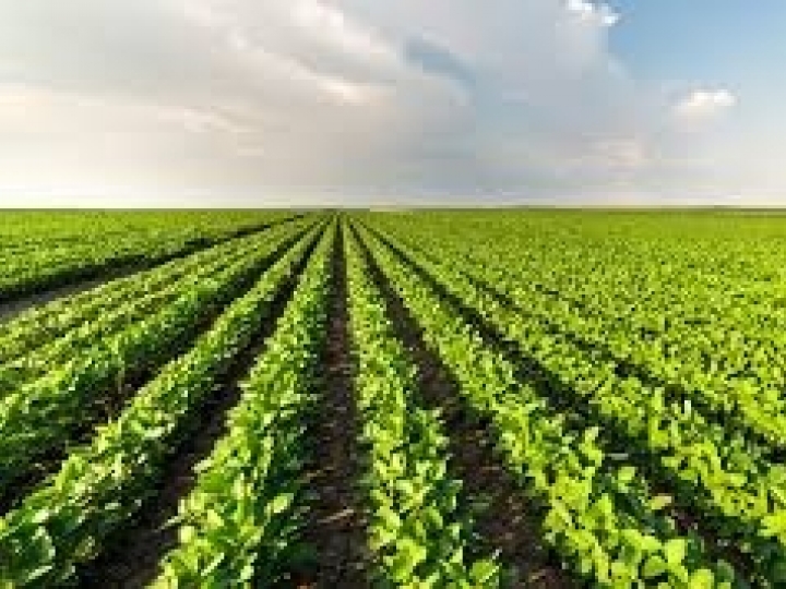 Yara apresenta suas inovações para grãos na Safratec Cocamar 2021 