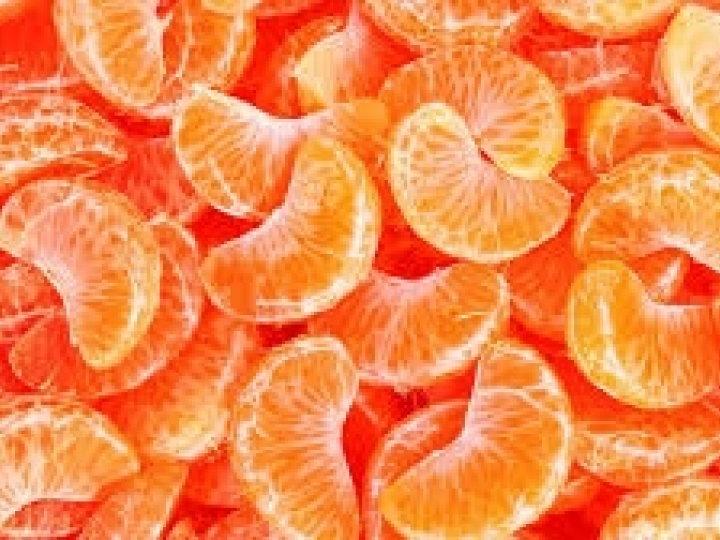 Fungicidas usados no controle de doença em tangerinas perdem eficácia