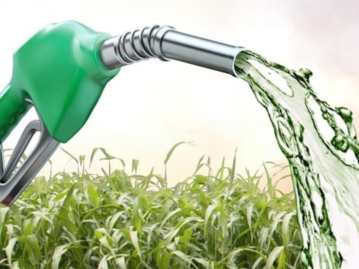 ANP: Preço médio do etanol sobe em 19 Estados e no DF 