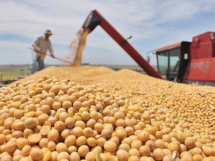 Produção brasileira de grãos deve chegar a 268,3 milhões de toneladas