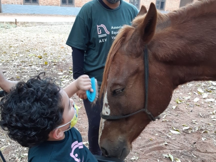 Benefícios da Equoterapia durante a pandemia