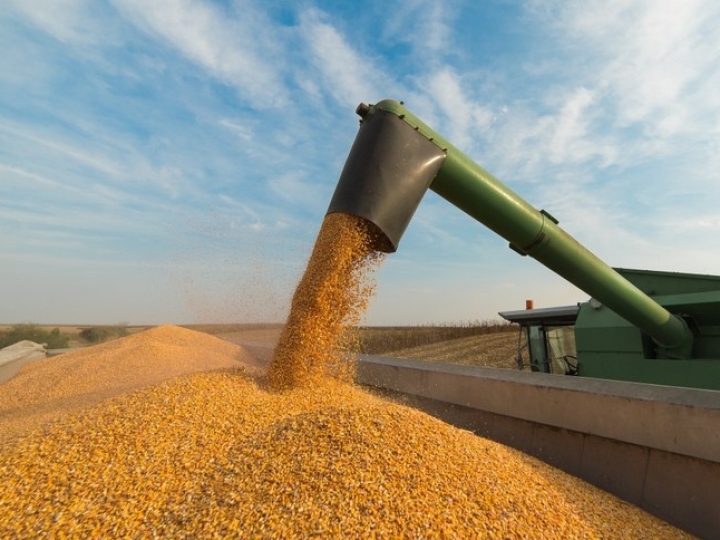 Previsão de recorde no valor bruto da produção agropecuária