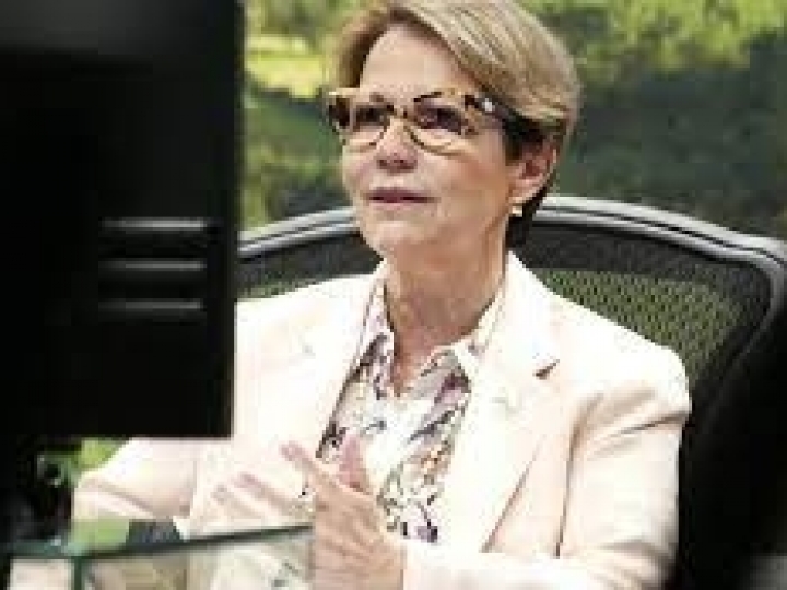 Agro brasileiro é boa alternativa para investimento em títulos verdes