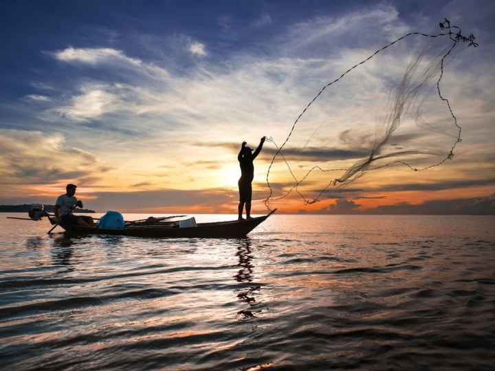 Mais de 700 licenças de pescadores são suspensas em 11 estados e no DF