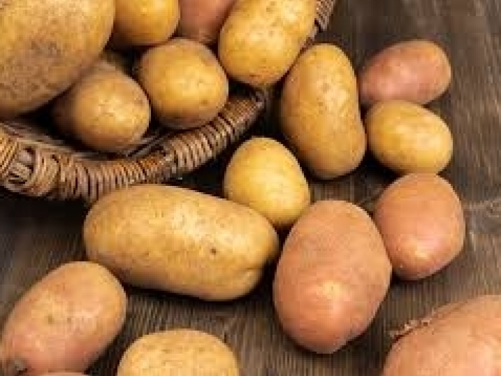 Como o fósforo foliar pode exercer um papel fundamental na batata? 