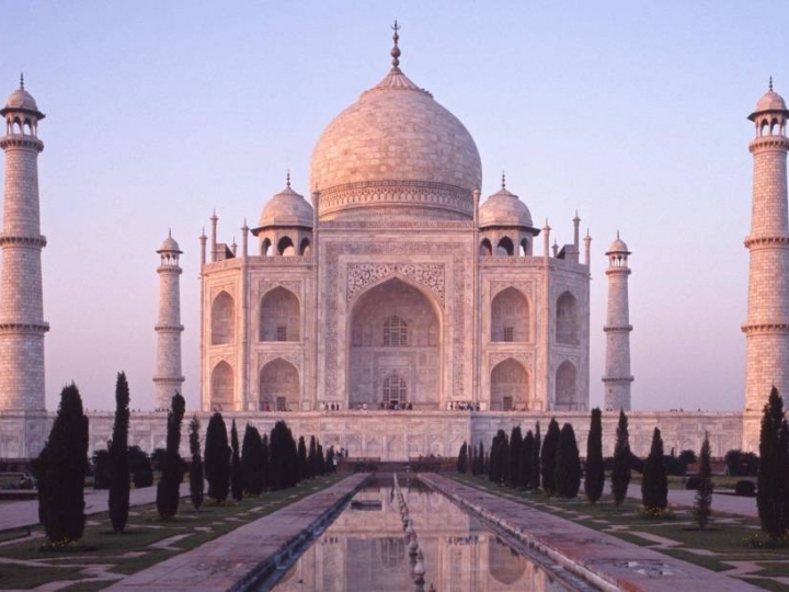 Índia estabelece novas exigências para importação de 24 produtos vegetais