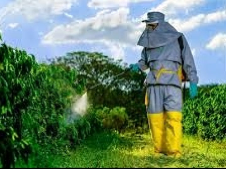 Países reavaliam norma da ISO para vestimentas protetivas agrícolas  