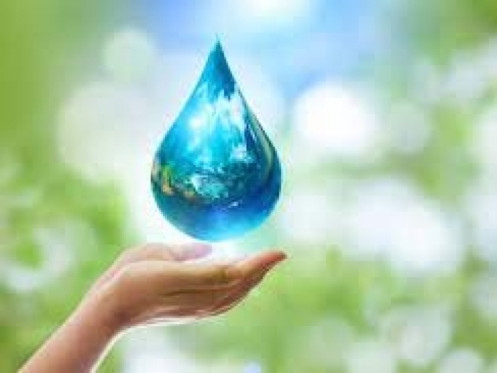 Terminais de açúcar economizam mais de 900 mil litros de água usando simples ideias 