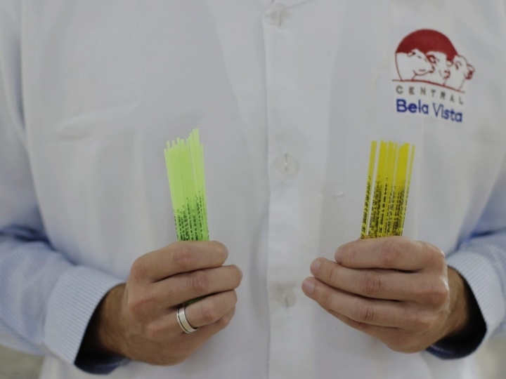 Central Bela Vista inova ao usar cores para diferenciar palhetas de sêmen para touros de leite e de corte