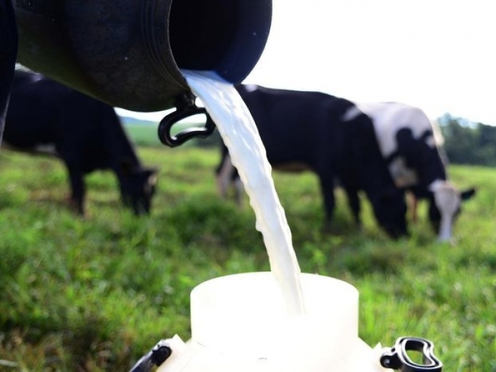 CMN aprova medidas para o setor leiteiro