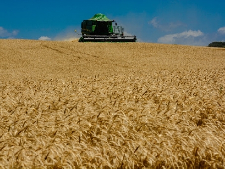 VBP deve atingir R$ 1,173 trilhão em 2021