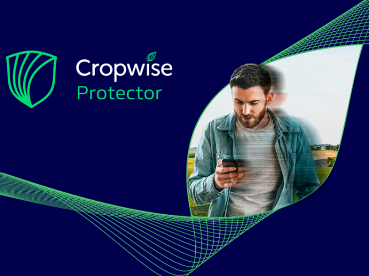 Nova funcionalidade da Syngenta Digital usa inteligência artificial para reconhecimento e contagem das plantas