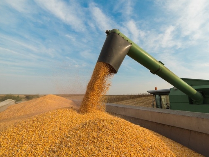 VBP deve ser 12,4% maior que o do ano passado